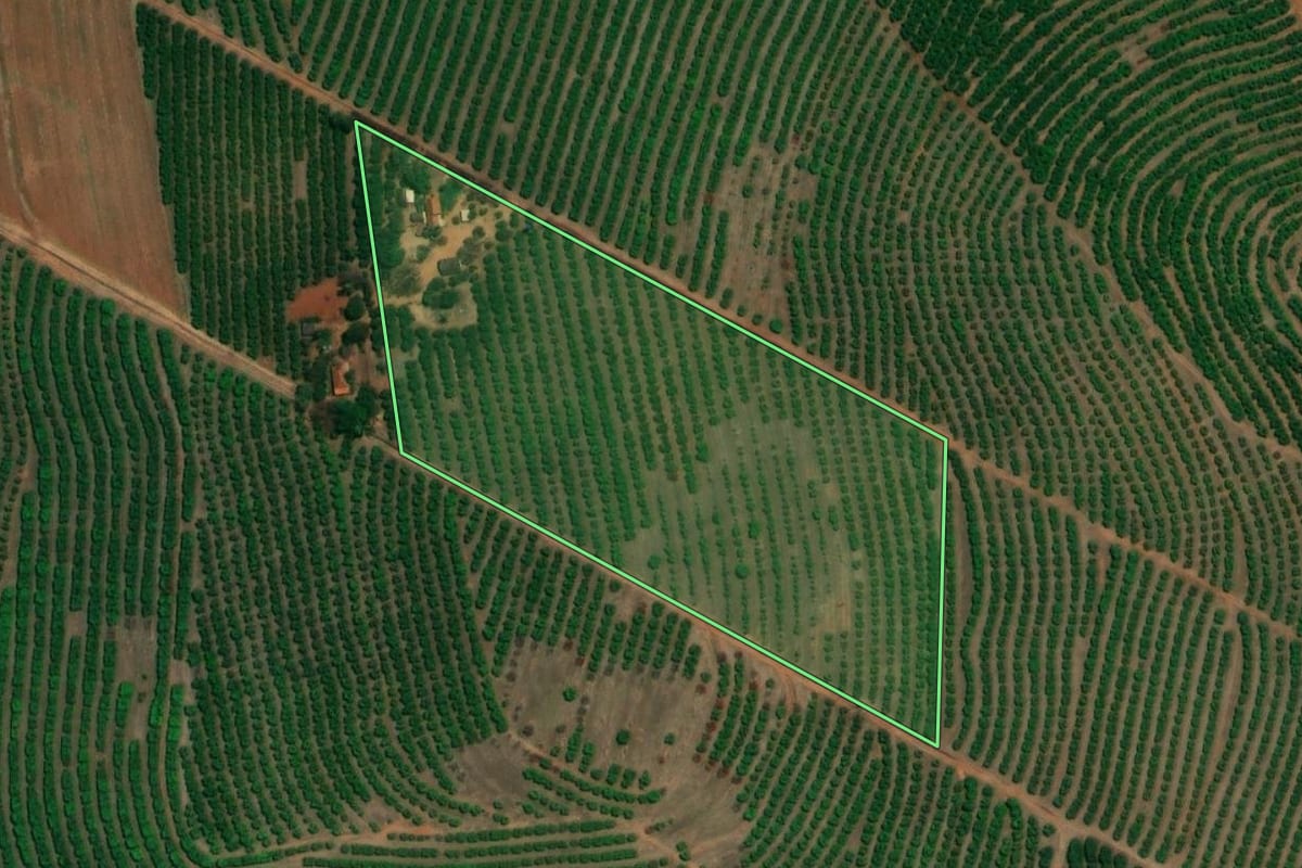 Imagem de satélite do imóvel rural em Monte Alto (SP), com o contorno declarado no CAR desenhado por cima.
