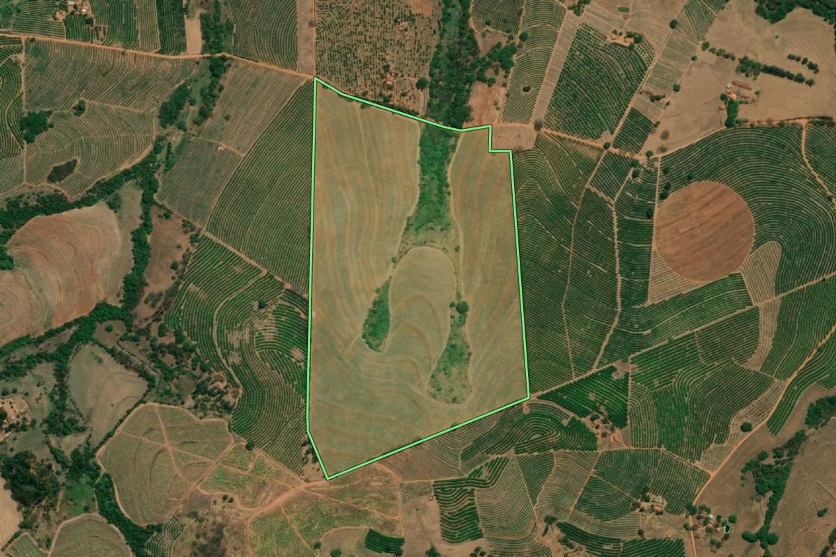 Imagem de satélite do imóvel rural em Monte Alto (SP), com o contorno declarado no CAR desenhado por cima.