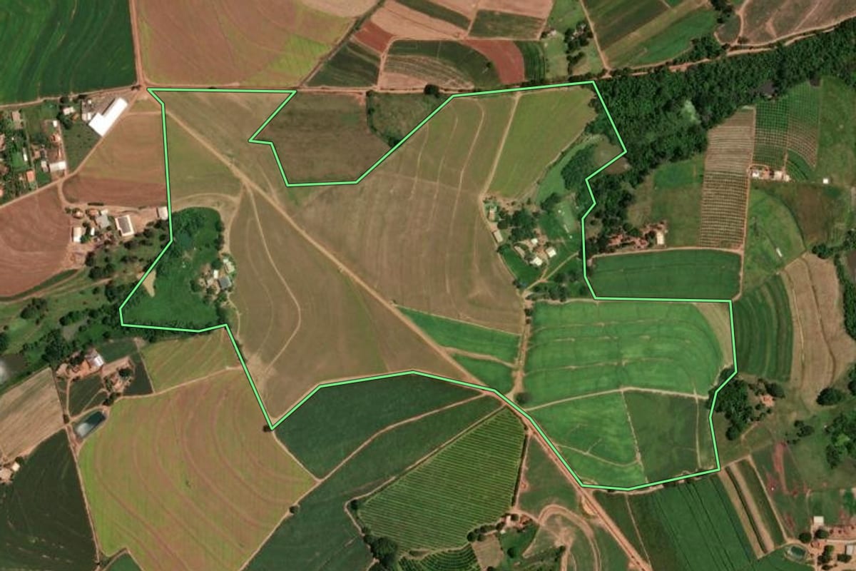 Imagem de satélite do imóvel rural em Monte Alto (SP), com o contorno declarado no CAR desenhado por cima.