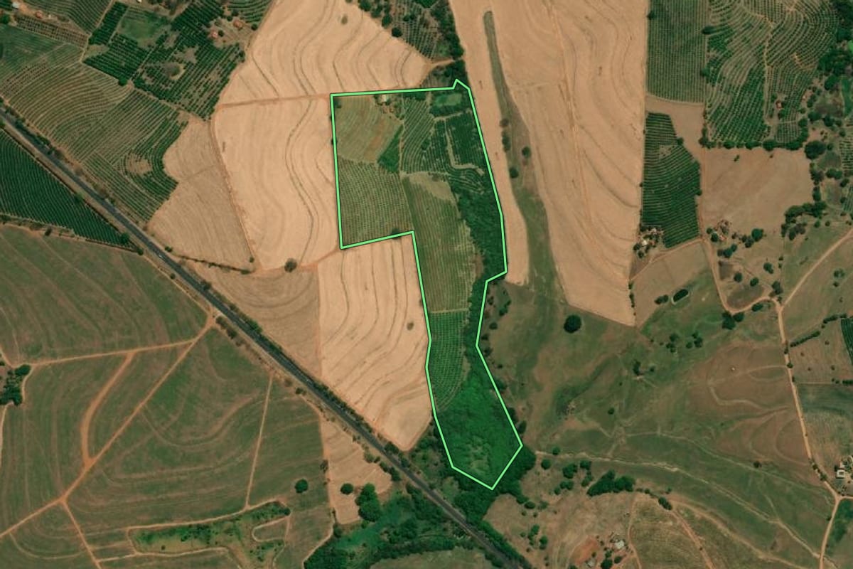 Imagem de satélite do imóvel rural em Monte Alto (SP), com o contorno declarado no CAR desenhado por cima.