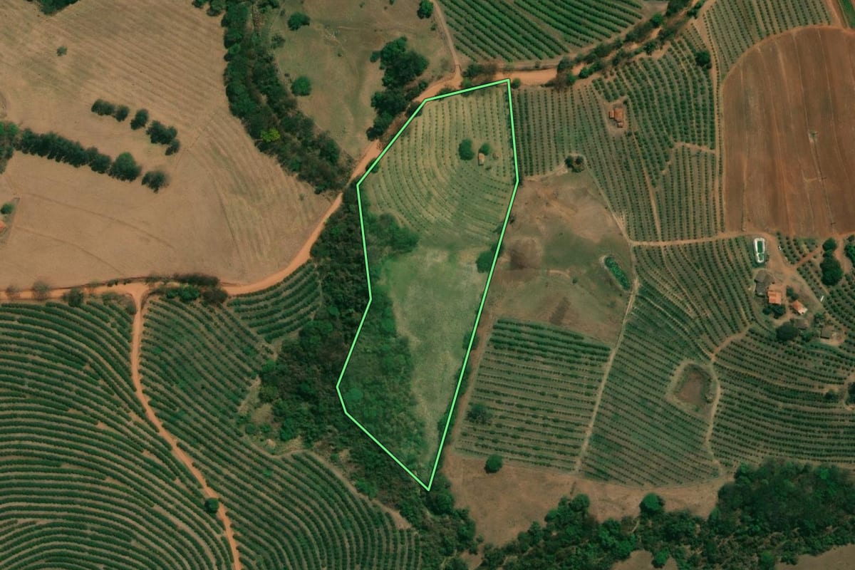 Imagem de satélite do imóvel rural em Monte Alto (SP), com o contorno declarado no CAR desenhado por cima.