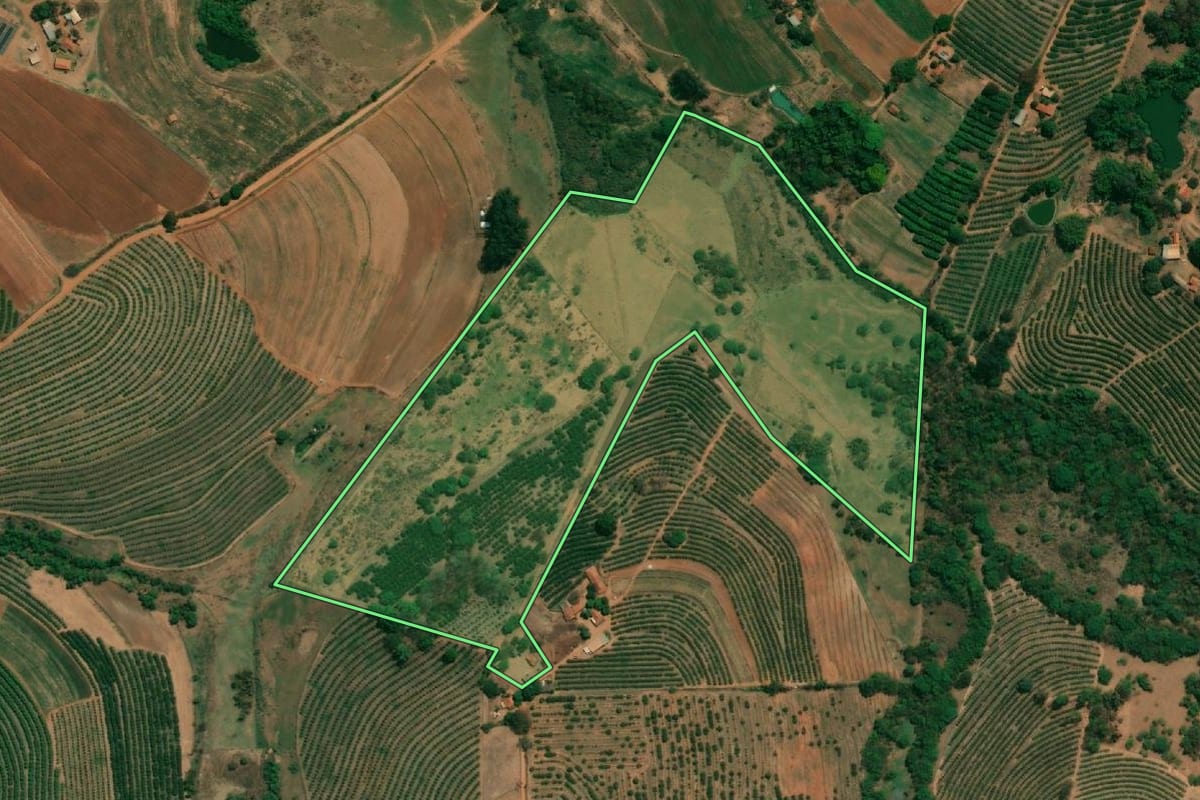 Imagem de satélite do imóvel rural em Monte Alto (SP), com o contorno declarado no CAR desenhado por cima.