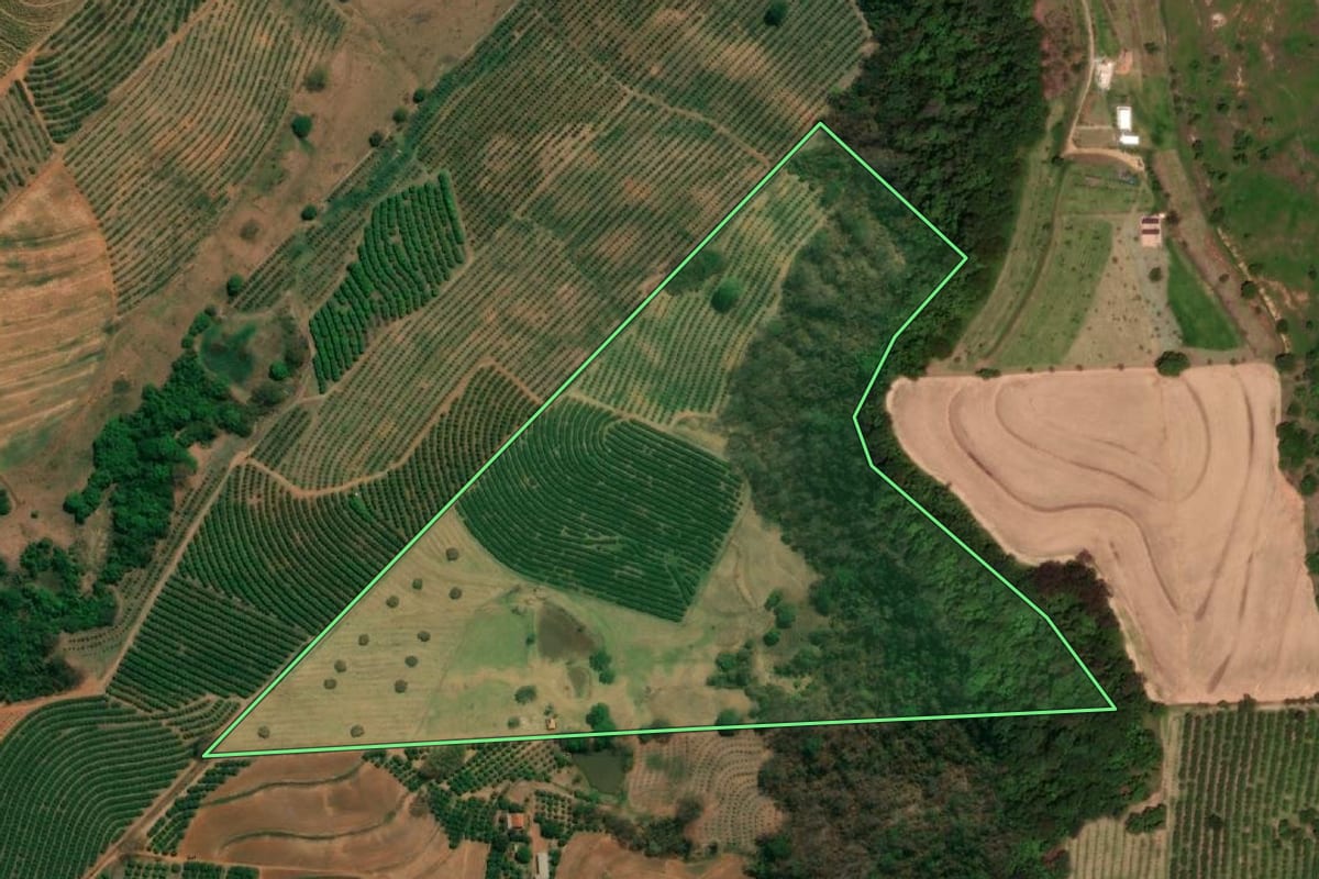 Imagem de satélite do imóvel rural em Monte Alto (SP), com o contorno declarado no CAR desenhado por cima.
