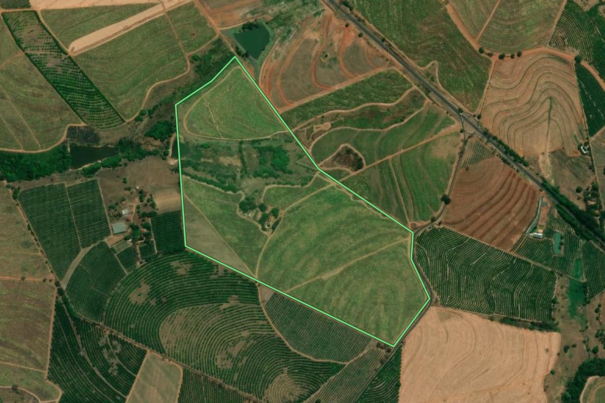 Imagem de satélite do imóvel rural em Monte Alto (SP), com o contorno declarado no CAR desenhado por cima.