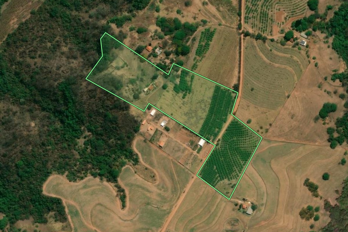 Imagem de satélite do imóvel rural em Monte Alto (SP), com o contorno declarado no CAR desenhado por cima.