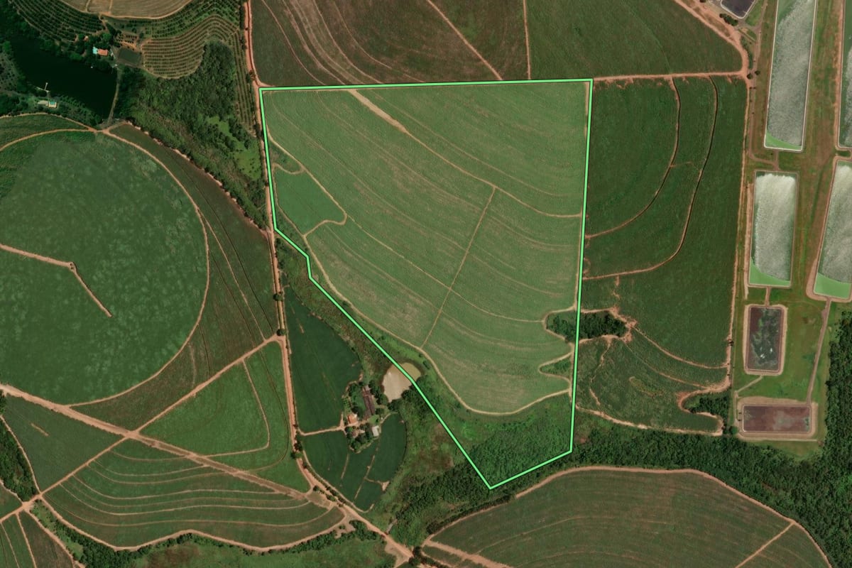 Imagem de satélite do imóvel rural em Monte Alto (SP), com o contorno declarado no CAR desenhado por cima.