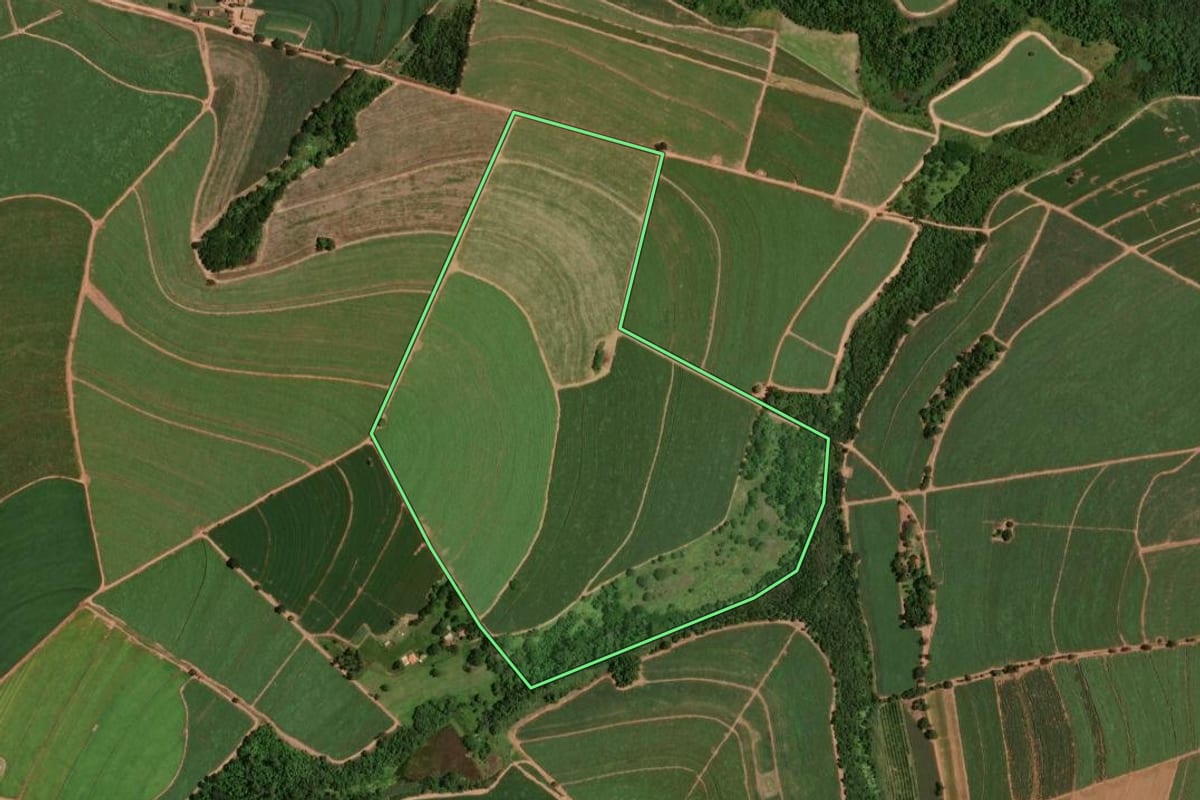 Imagem de satélite do imóvel rural em Monte Alto (SP), com o contorno declarado no CAR desenhado por cima.