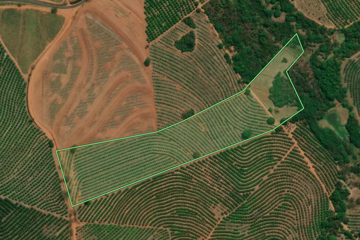 Imagem de satélite do imóvel rural em Monte Alto (SP), com o contorno declarado no CAR desenhado por cima.