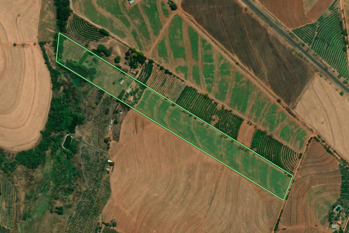 Imagem de satélite do imóvel rural em Monte Alto (SP), com o contorno declarado no CAR desenhado por cima.