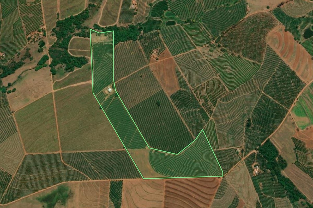Imagem de satélite do imóvel rural em Monte Alto (SP), com o contorno declarado no CAR desenhado por cima.