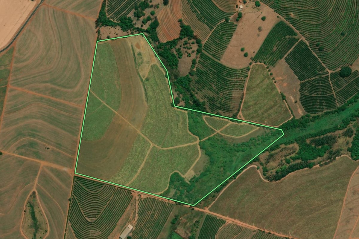 Imagem de satélite do imóvel rural em Monte Alto (SP), com o contorno declarado no CAR desenhado por cima.