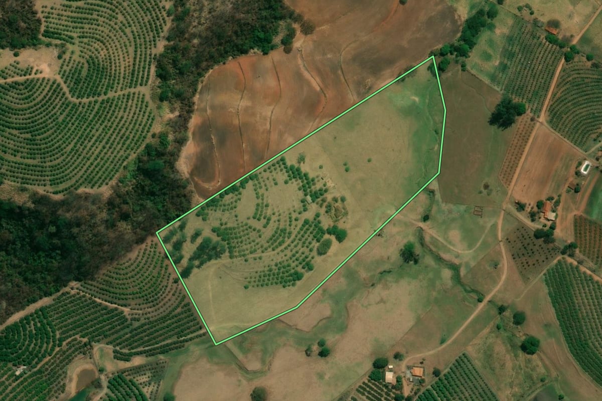 Imagem de satélite do imóvel rural em Monte Alto (SP), com o contorno declarado no CAR desenhado por cima.