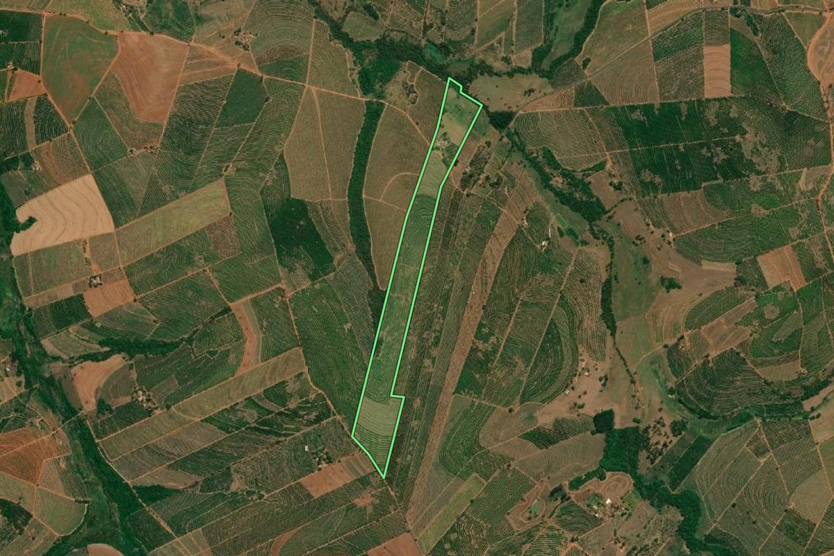 Imagem de satélite do imóvel rural em Monte Alto (SP), com o contorno declarado no CAR desenhado por cima.