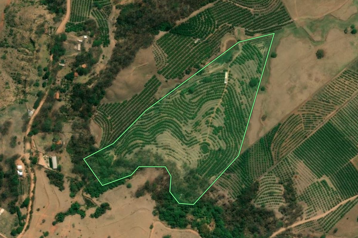 Imagem de satélite do imóvel rural em Monte Alto (SP), com o contorno declarado no CAR desenhado por cima.