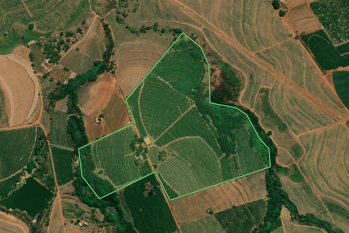 Imagem de satélite do imóvel rural em Monte Alto (SP), com o contorno declarado no CAR desenhado por cima.