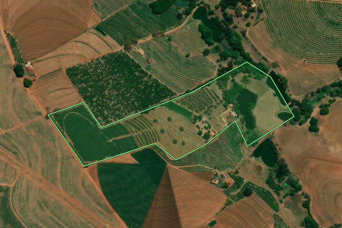 Imagem de satélite do imóvel rural em Monte Alto (SP), com o contorno declarado no CAR desenhado por cima.
