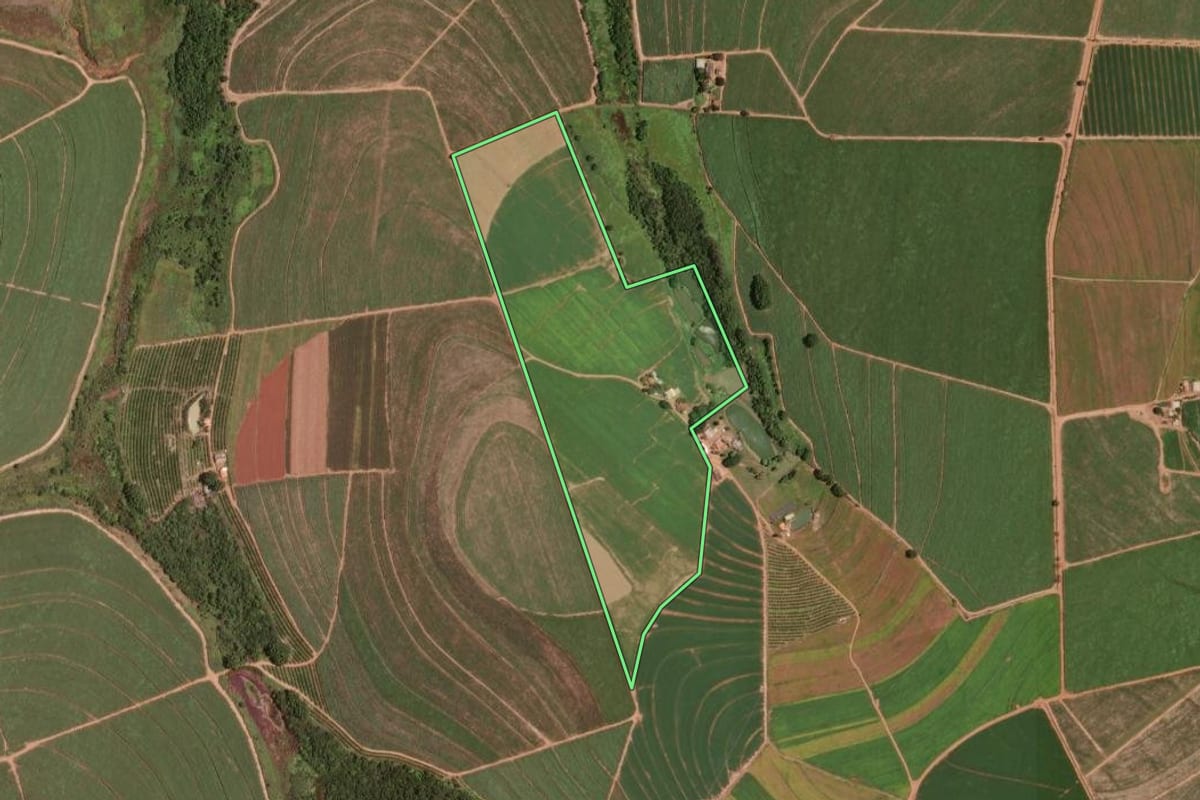 Imagem de satélite do imóvel rural em Monte Alto (SP), com o contorno declarado no CAR desenhado por cima.