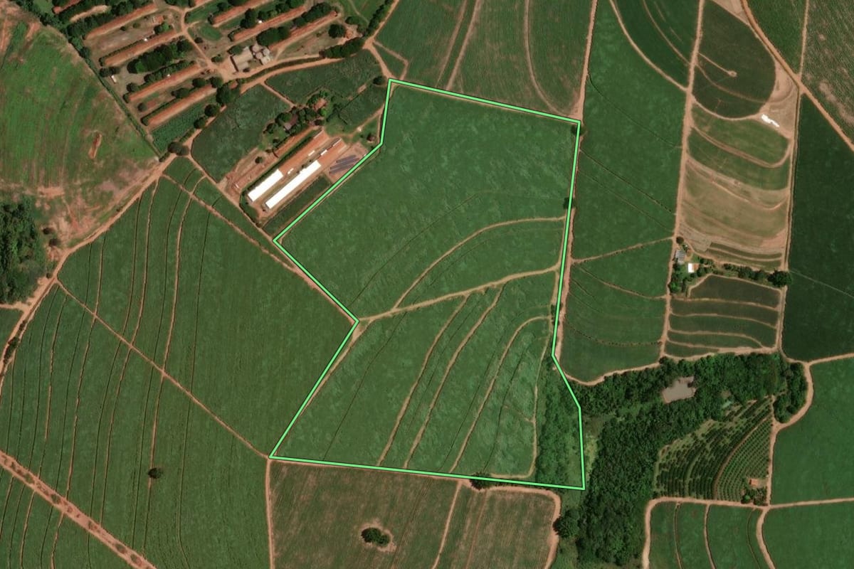 Imagem de satélite do imóvel rural em Monte Alto (SP), com o contorno declarado no CAR desenhado por cima.