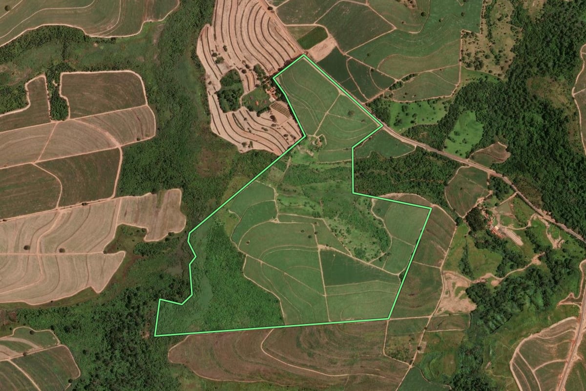 Imagem de satélite do imóvel rural em Monte Alto (SP), com o contorno declarado no CAR desenhado por cima.