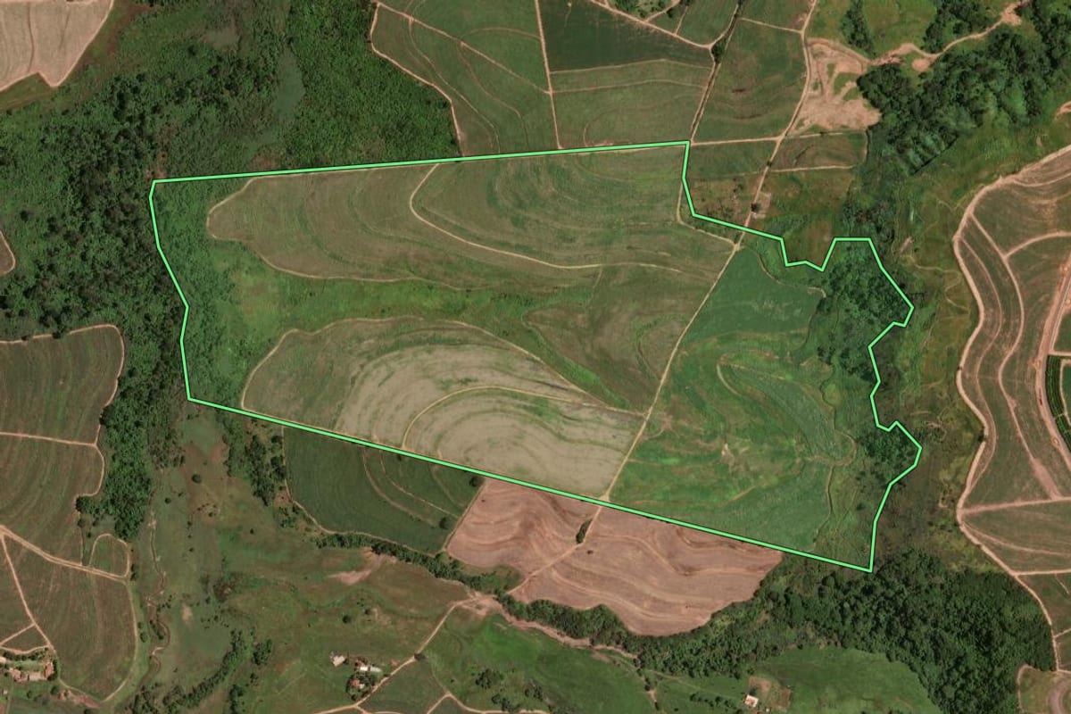Imagem de satélite do imóvel rural em Monte Alto (SP), com o contorno declarado no CAR desenhado por cima.