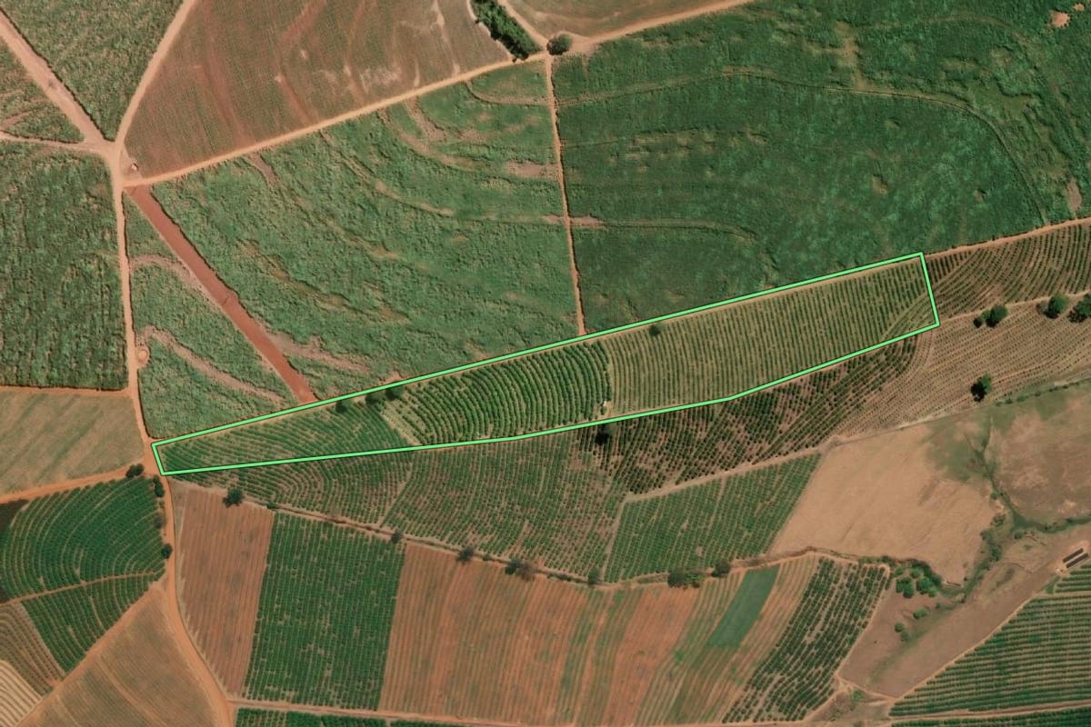 Imagem de satélite do imóvel rural em Monte Alto (SP), com o contorno declarado no CAR desenhado por cima.