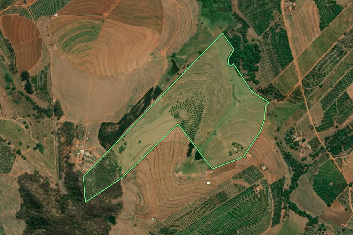 Imagem de satélite do imóvel rural em Monte Alto (SP), com o contorno declarado no CAR desenhado por cima.