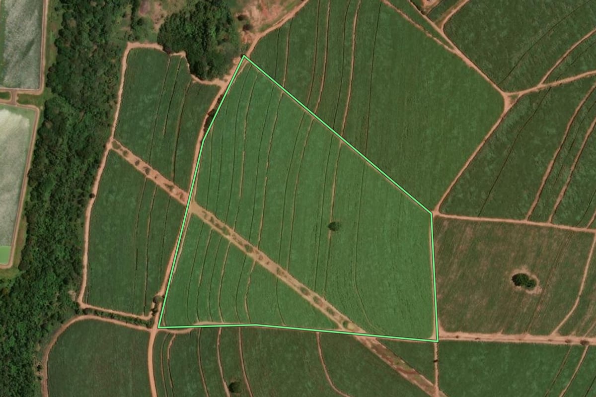 Imagem de satélite do imóvel rural em Monte Alto (SP), com o contorno declarado no CAR desenhado por cima.