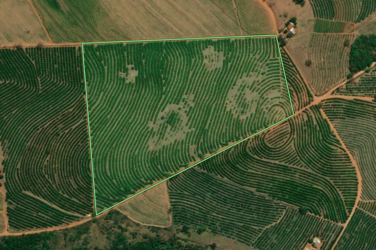 Imagem de satélite do imóvel rural em Monte Alto (SP), com o contorno declarado no CAR desenhado por cima.