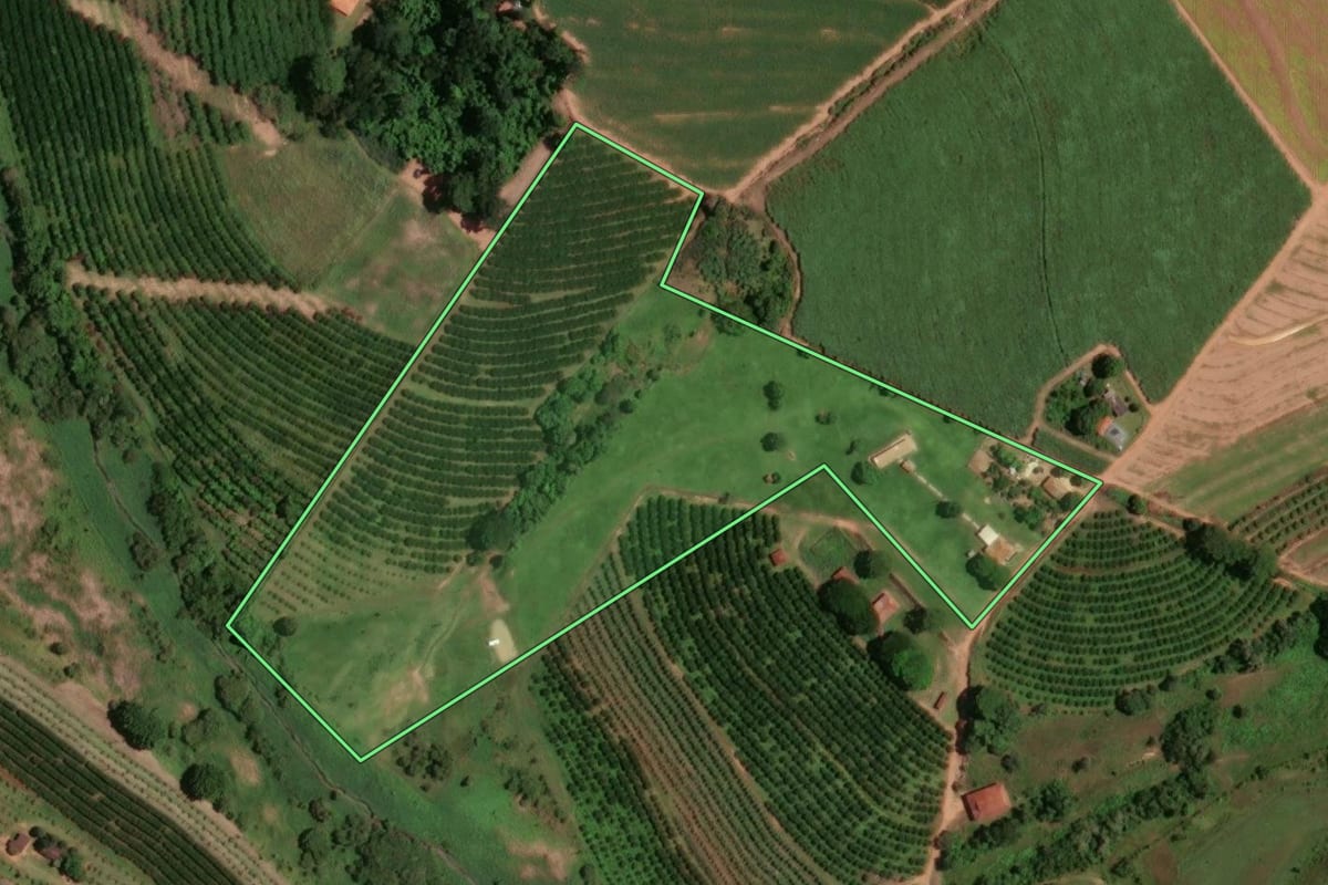 Imagem de satélite do imóvel rural em Monte Alto (SP), com o contorno declarado no CAR desenhado por cima.