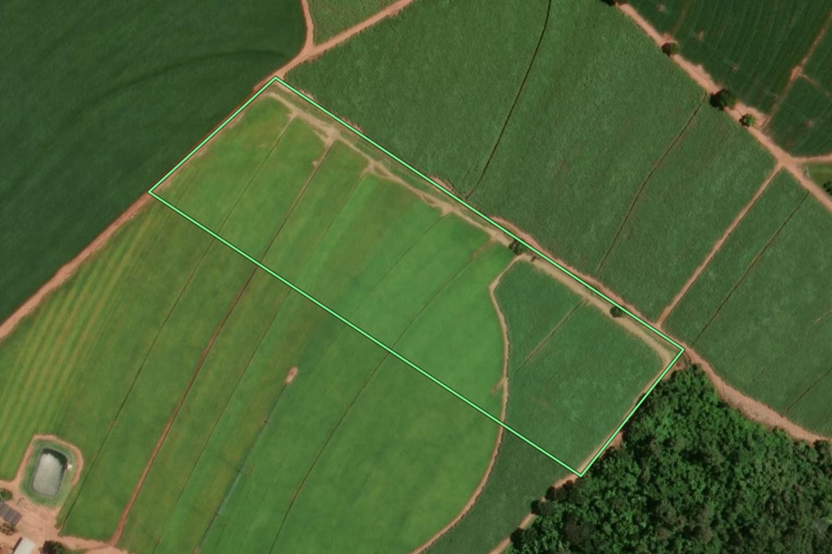 Imagem de satélite do imóvel rural em Monte Alto (SP), com o contorno declarado no CAR desenhado por cima.
