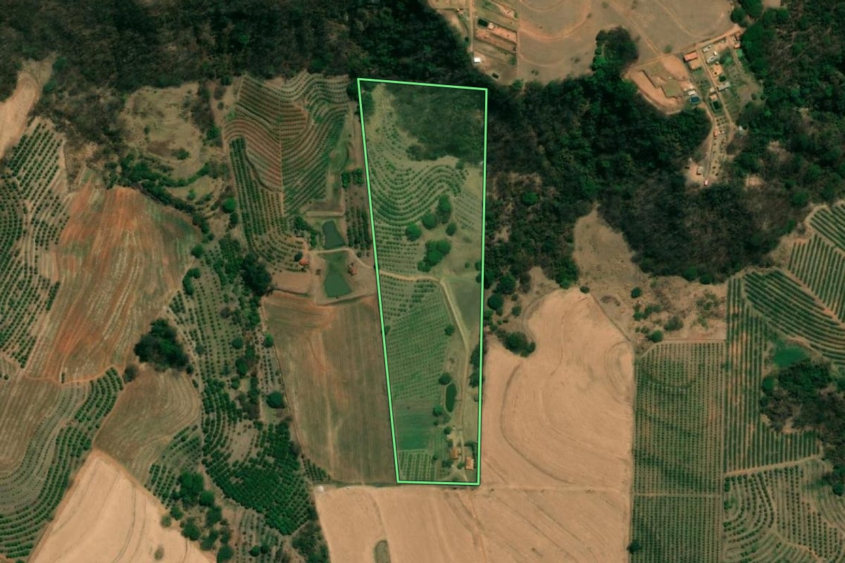 Imagem de satélite do imóvel rural em Monte Alto (SP), com o contorno declarado no CAR desenhado por cima.