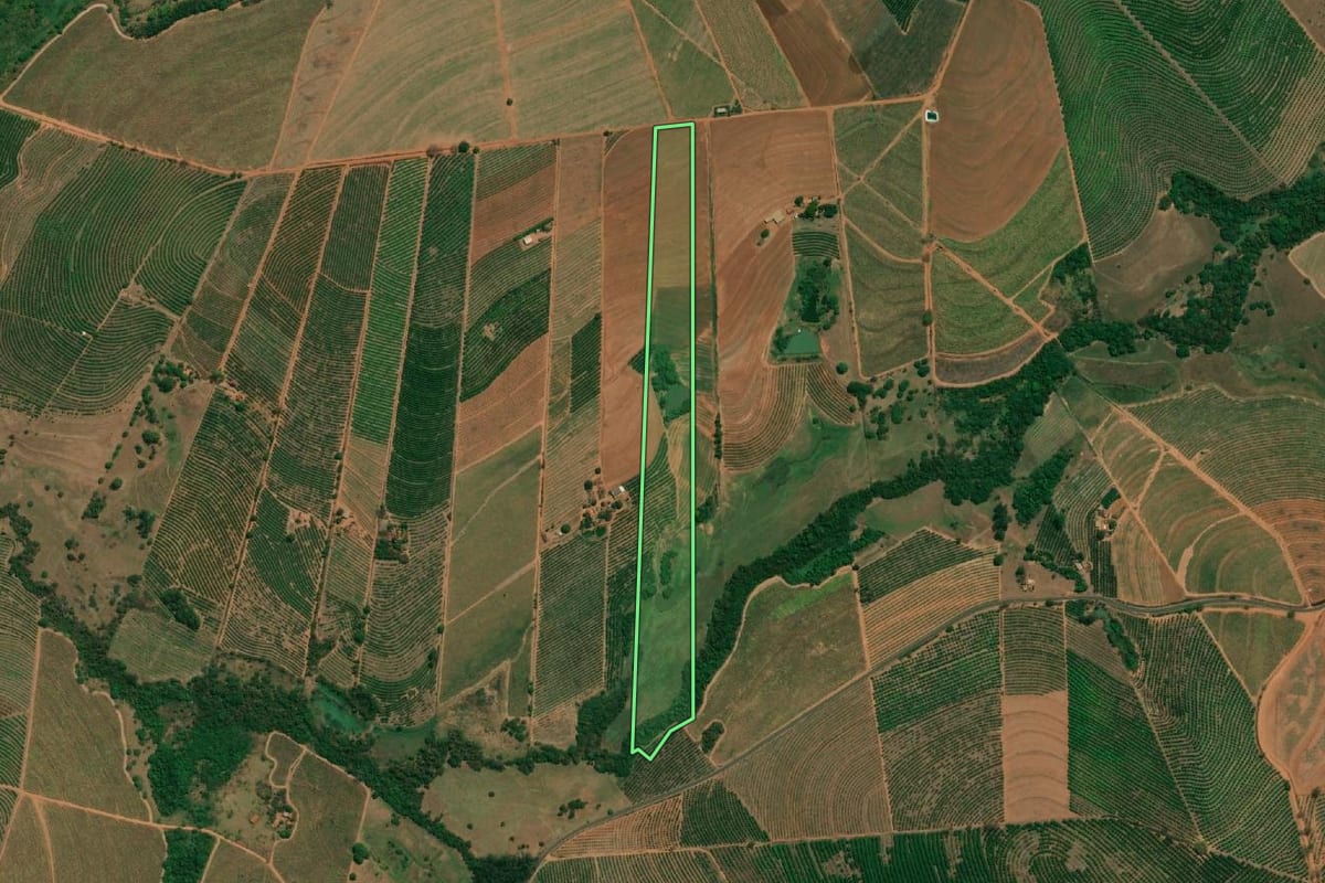 Imagem de satélite do imóvel rural em Monte Alto (SP), com o contorno declarado no CAR desenhado por cima.