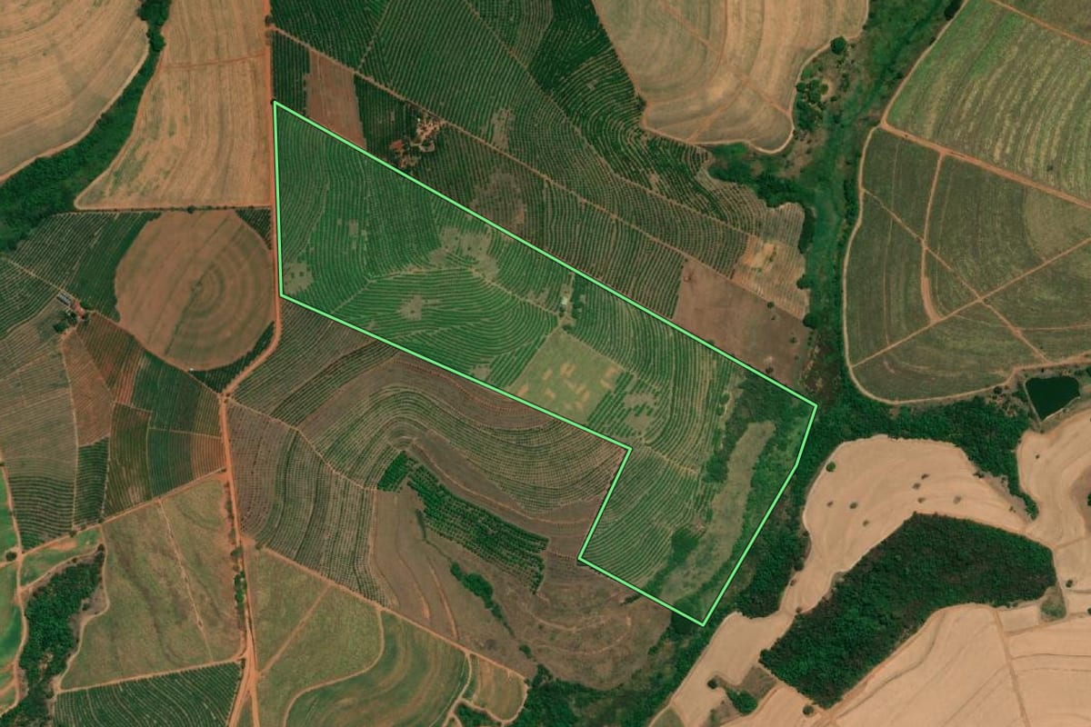 Imagem de satélite do imóvel rural em Monte Alto (SP), com o contorno declarado no CAR desenhado por cima.