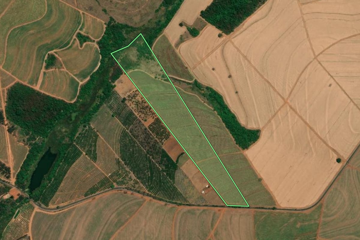 Imagem de satélite do imóvel rural em Monte Alto (SP), com o contorno declarado no CAR desenhado por cima.