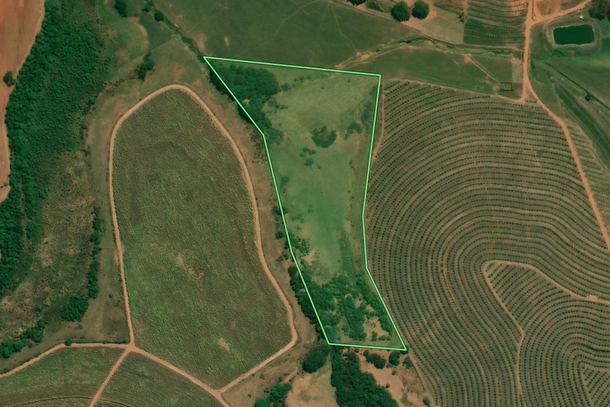 Imagem de satélite do imóvel rural em Monte Alto (SP), com o contorno declarado no CAR desenhado por cima.