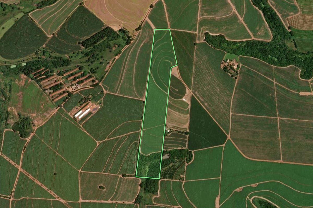 Imagem de satélite do imóvel rural em Monte Alto (SP), com o contorno declarado no CAR desenhado por cima.