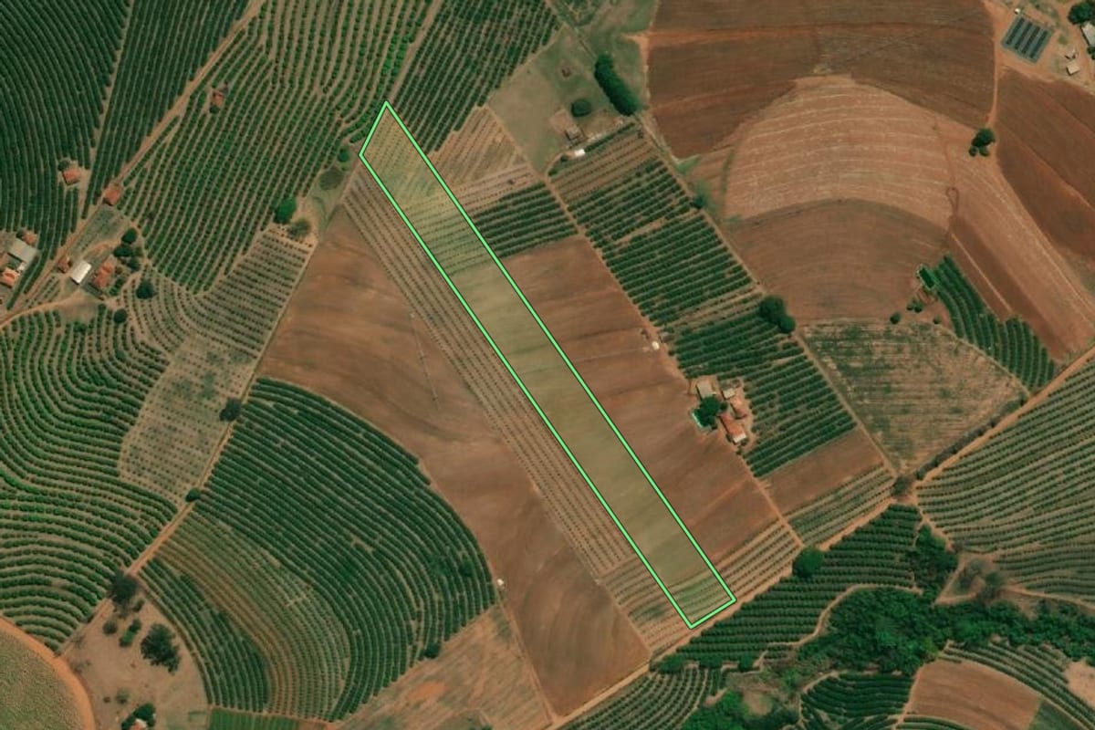 Imagem de satélite do imóvel rural em Monte Alto (SP), com o contorno declarado no CAR desenhado por cima.