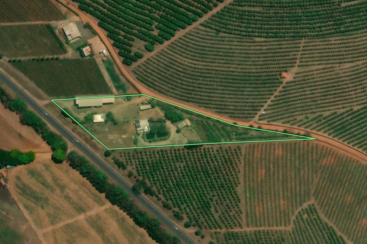 Imagem de satélite do imóvel rural em Monte Alto (SP), com o contorno declarado no CAR desenhado por cima.