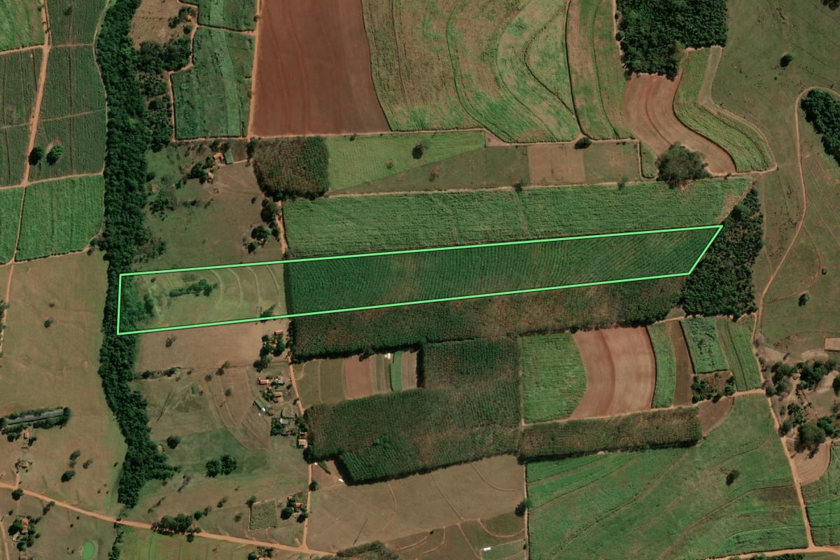 Imagem de satélite do imóvel rural em Monte Aprazível (SP), com o contorno declarado no CAR desenhado por cima.