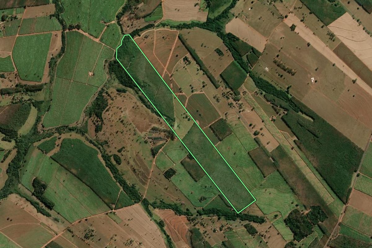 Imagem de satélite do imóvel rural em Monte Aprazível (SP), com o contorno declarado no CAR desenhado por cima.