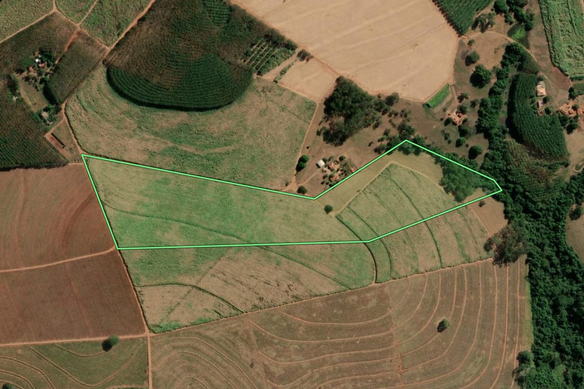 Imagem de satélite do imóvel rural em Monte Aprazível (SP), com o contorno declarado no CAR desenhado por cima.