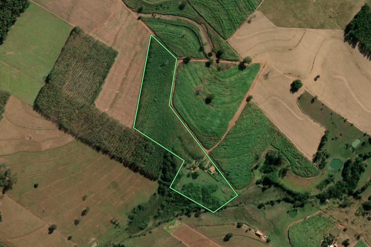 Imagem de satélite do imóvel rural em Monte Aprazível (SP), com o contorno declarado no CAR desenhado por cima.