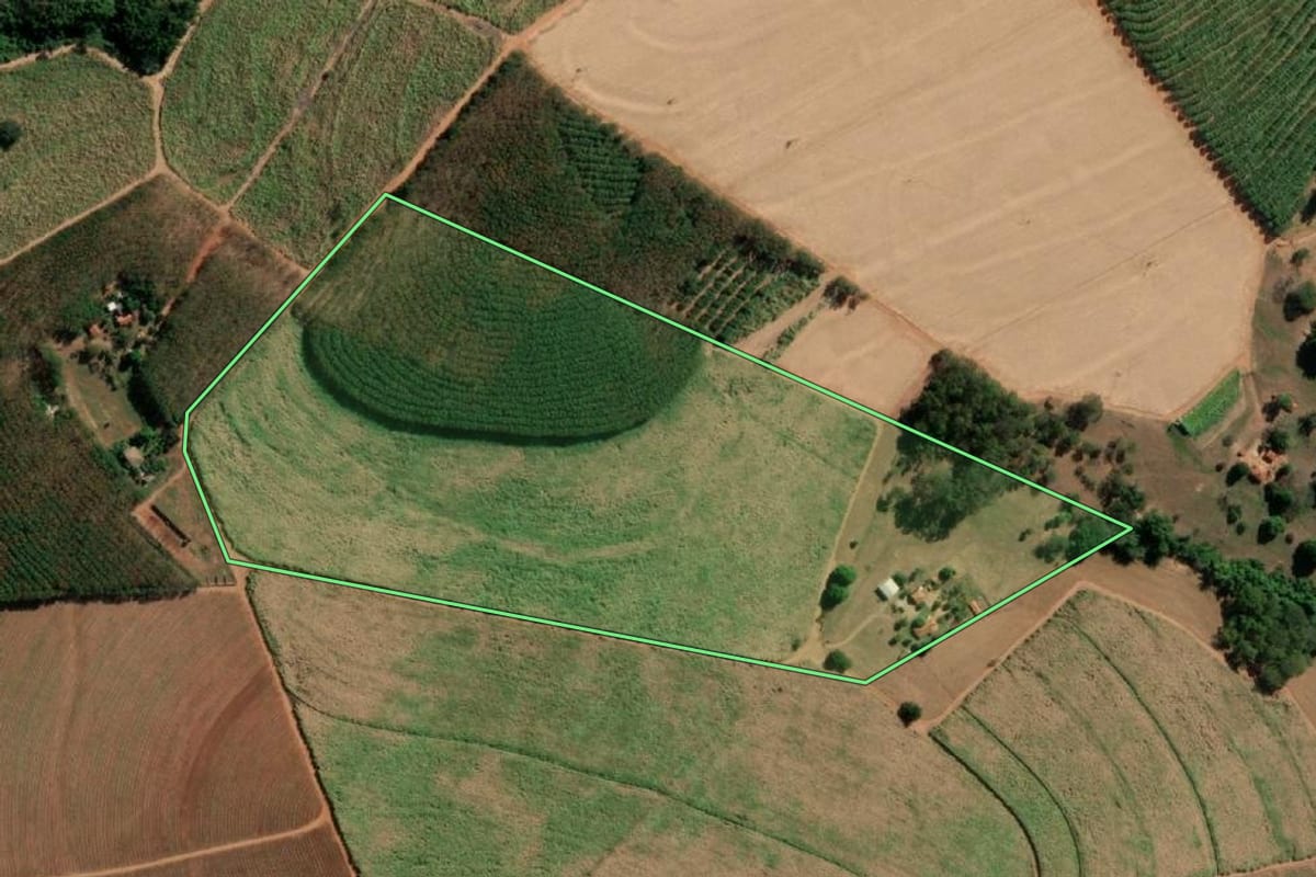 Imagem de satélite do imóvel rural em Monte Aprazível (SP), com o contorno declarado no CAR desenhado por cima.