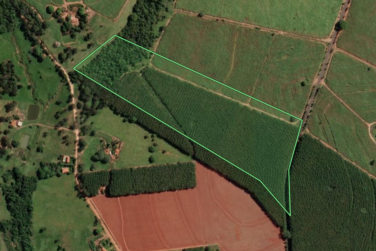 Imagem de satélite do imóvel rural em Monte Aprazível (SP), com o contorno declarado no CAR desenhado por cima.
