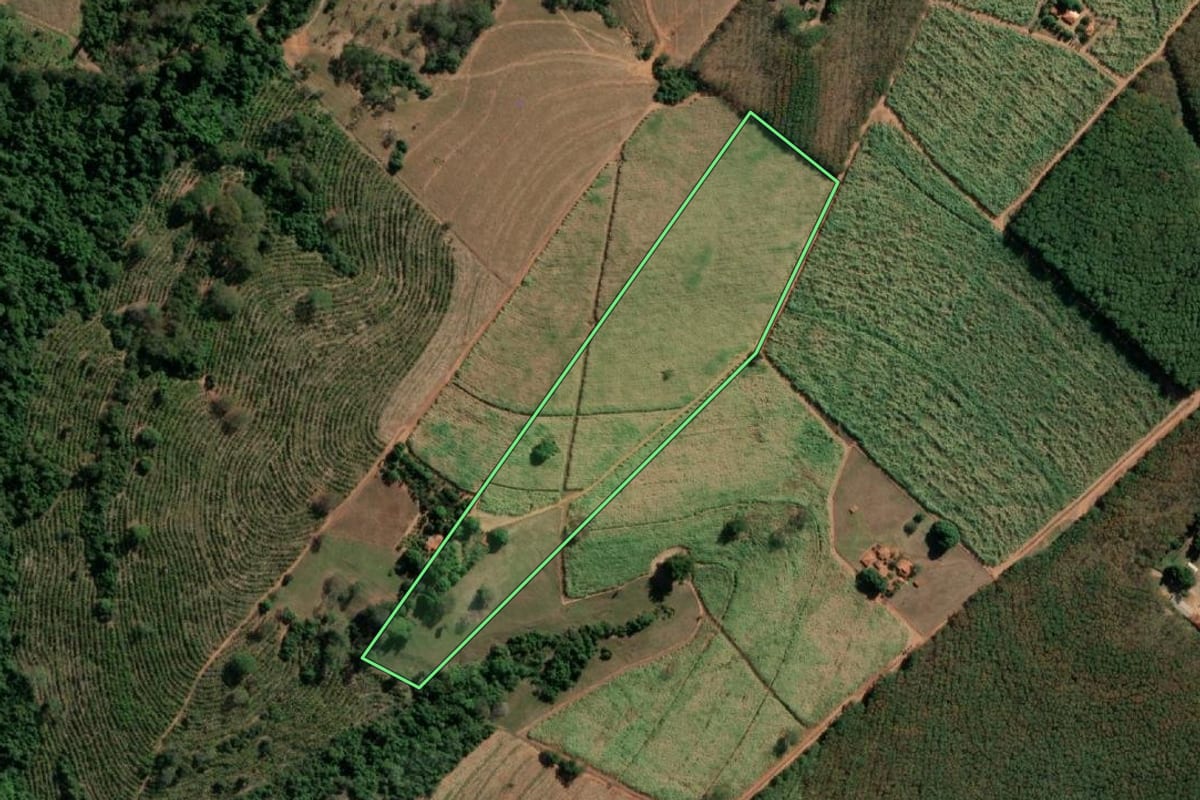 Imagem de satélite do imóvel rural em Monte Aprazível (SP), com o contorno declarado no CAR desenhado por cima.