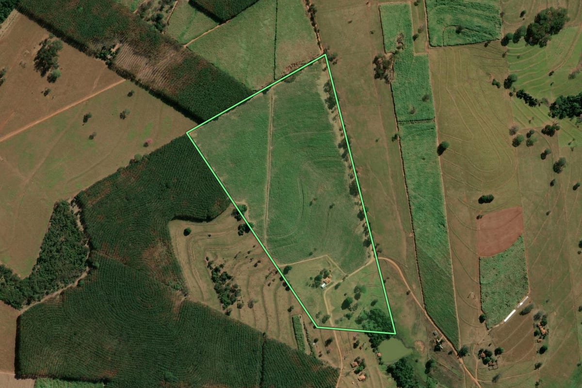 Imagem de satélite do imóvel rural em Monte Aprazível (SP), com o contorno declarado no CAR desenhado por cima.