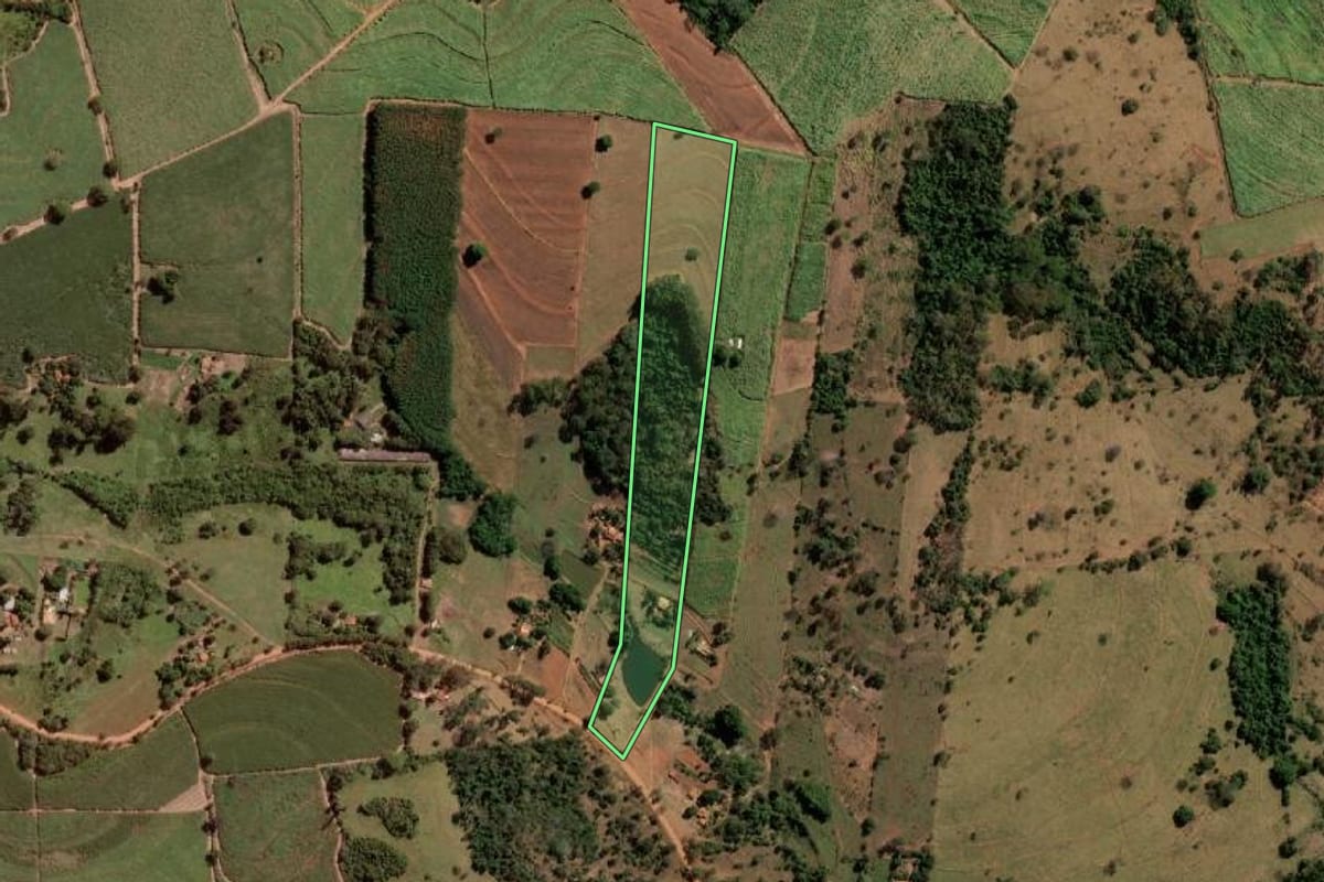 Imagem de satélite do imóvel rural em Monte Aprazível (SP), com o contorno declarado no CAR desenhado por cima.