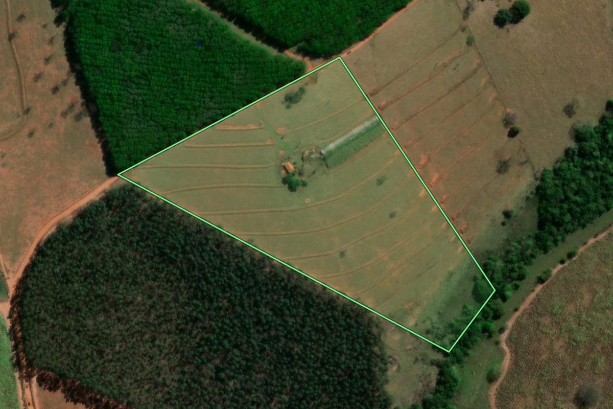 Imagem de satélite do imóvel rural em Monte Aprazível (SP), com o contorno declarado no CAR desenhado por cima.