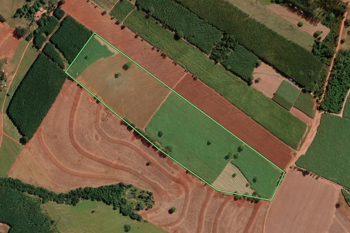 Imagem de satélite do imóvel rural em Monte Aprazível (SP), com o contorno declarado no CAR desenhado por cima.
