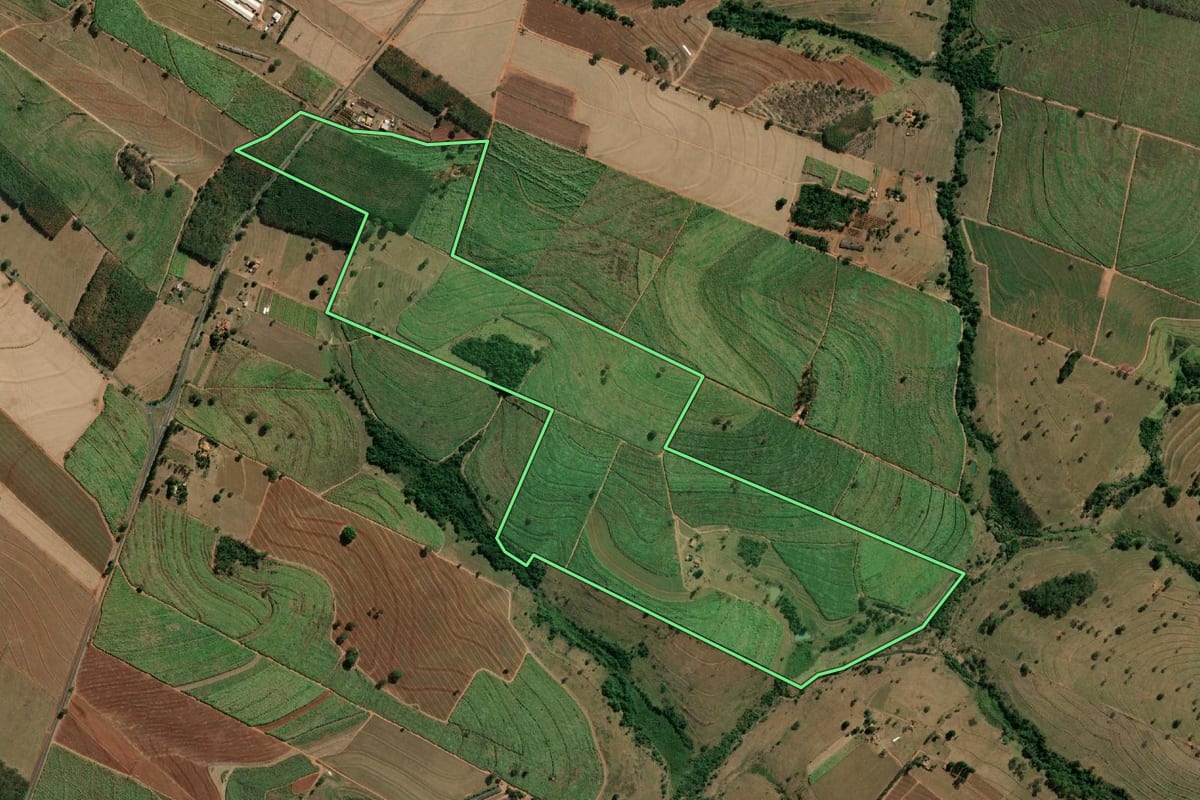 Imagem de satélite do imóvel rural em Monte Aprazível (SP), com o contorno declarado no CAR desenhado por cima.